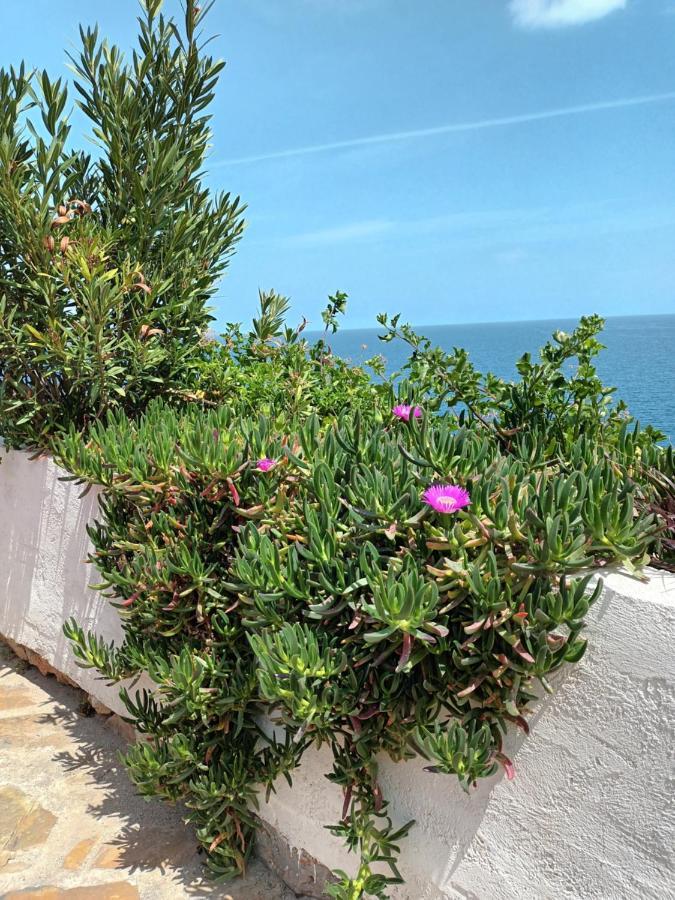 Ágios Nikólaos Mirabello Sea House מראה חיצוני תמונה